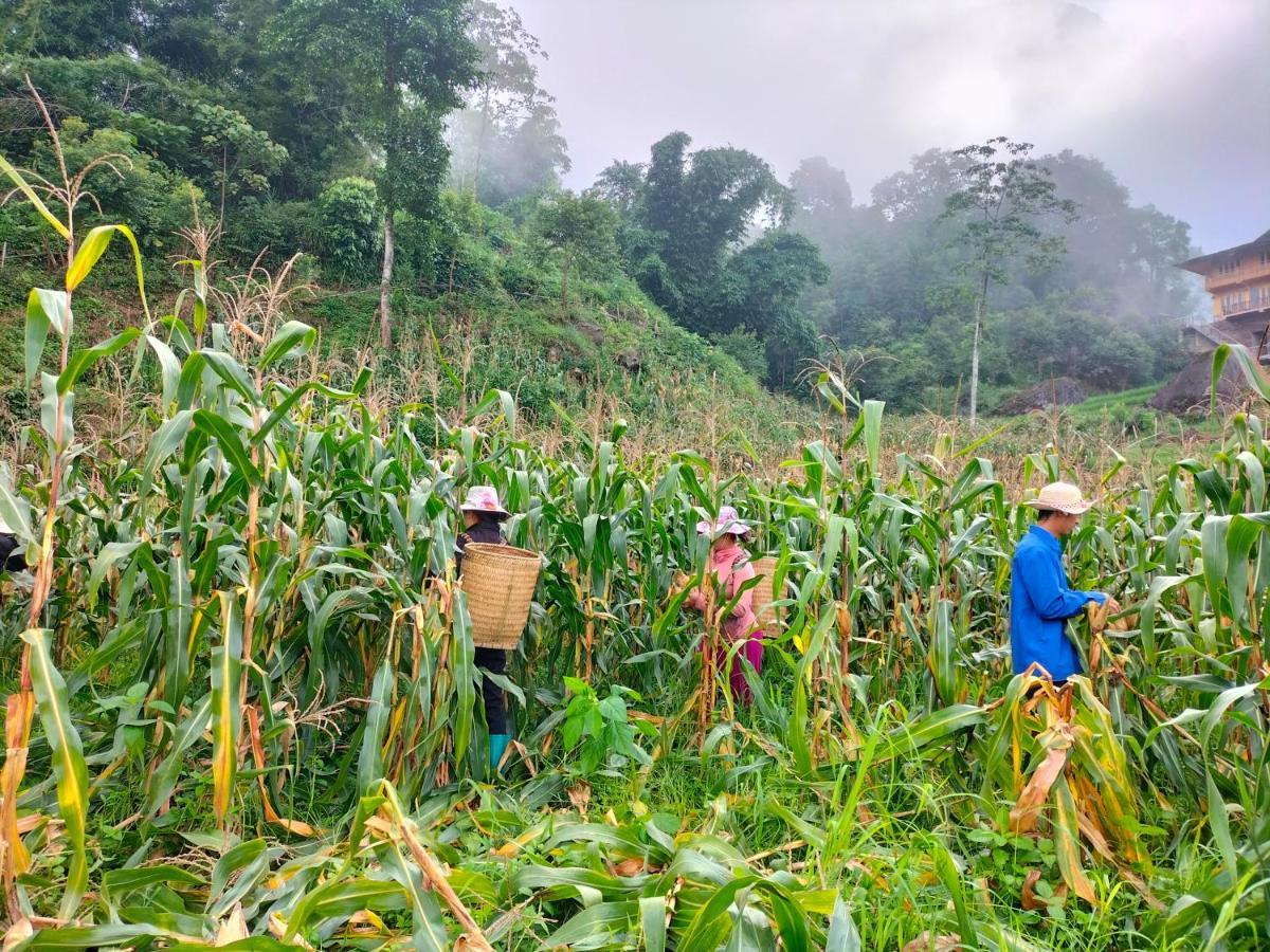 Muong Hoa Hmong Homestay Sa Pa Buitenkant foto