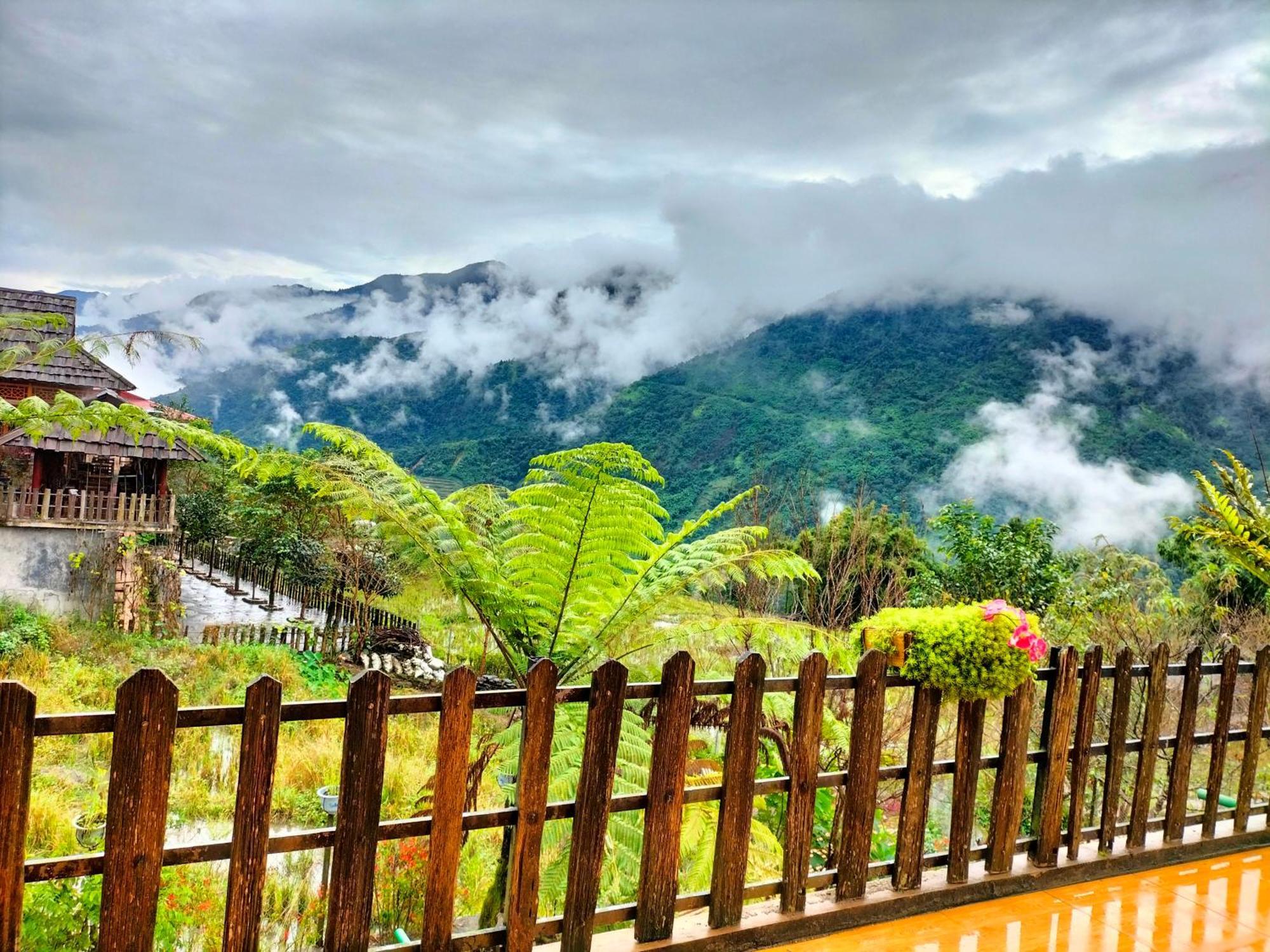Muong Hoa Hmong Homestay Sa Pa Buitenkant foto