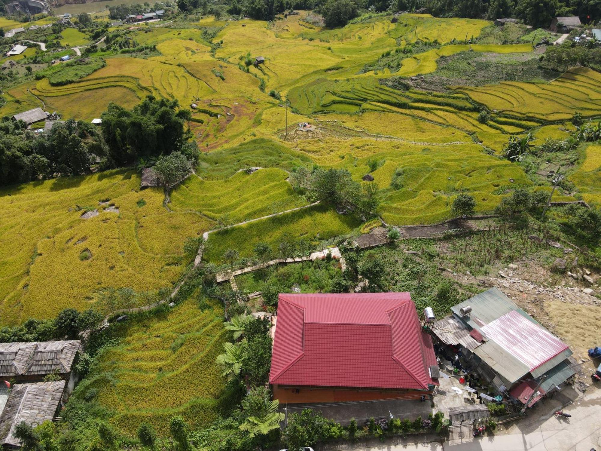 Muong Hoa Hmong Homestay Sa Pa Buitenkant foto