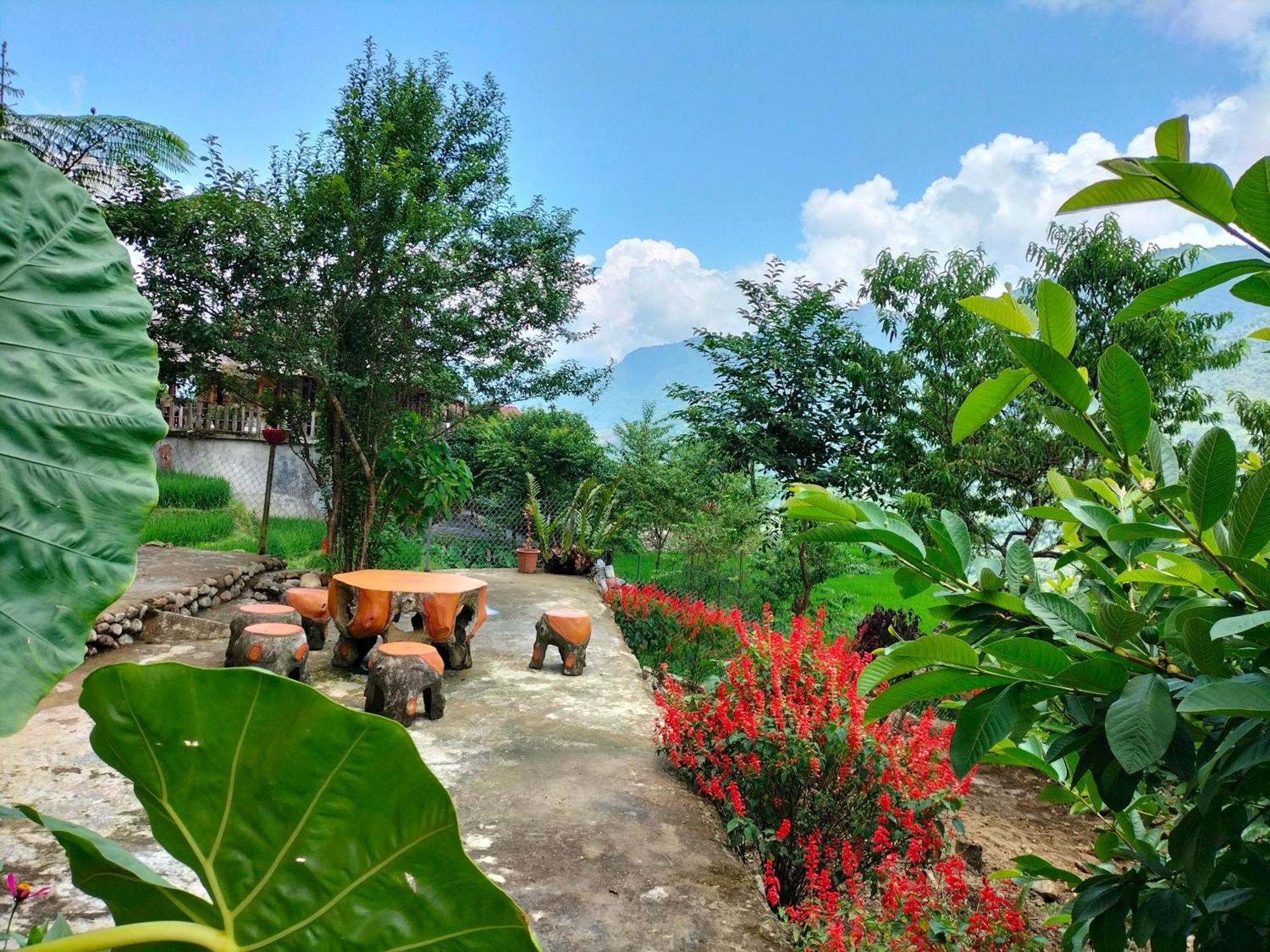 Muong Hoa Hmong Homestay Sa Pa Buitenkant foto