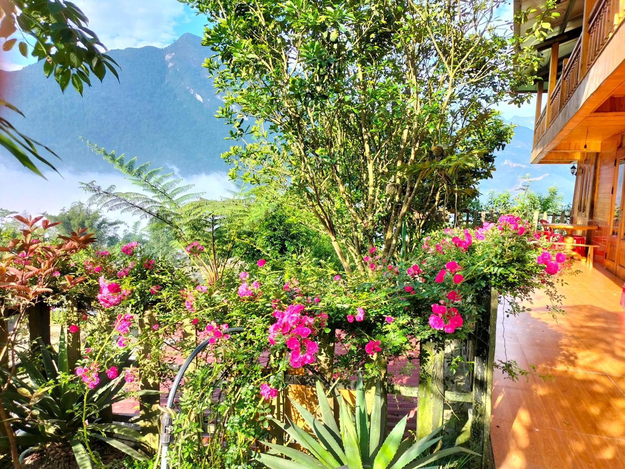 Muong Hoa Hmong Homestay Sa Pa Kamer foto